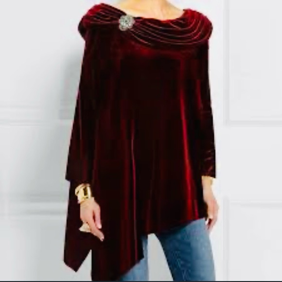 Soft Surroundings Tops - Soft Surroundings Women’s Velvet Asymmetrical Plum Tunic.Size XXL.SKU 306
